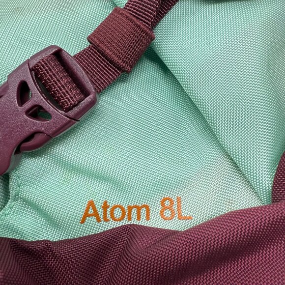 Patagonia Atom 8L Sling Bag Backpack Purple Plum and Seafoam Blue VGUC Hiking - Picture 5 of 6